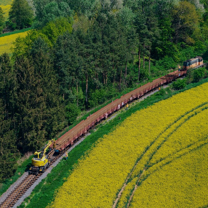 216 (1)